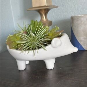 Hedge Hog Planter with Green Succulents
